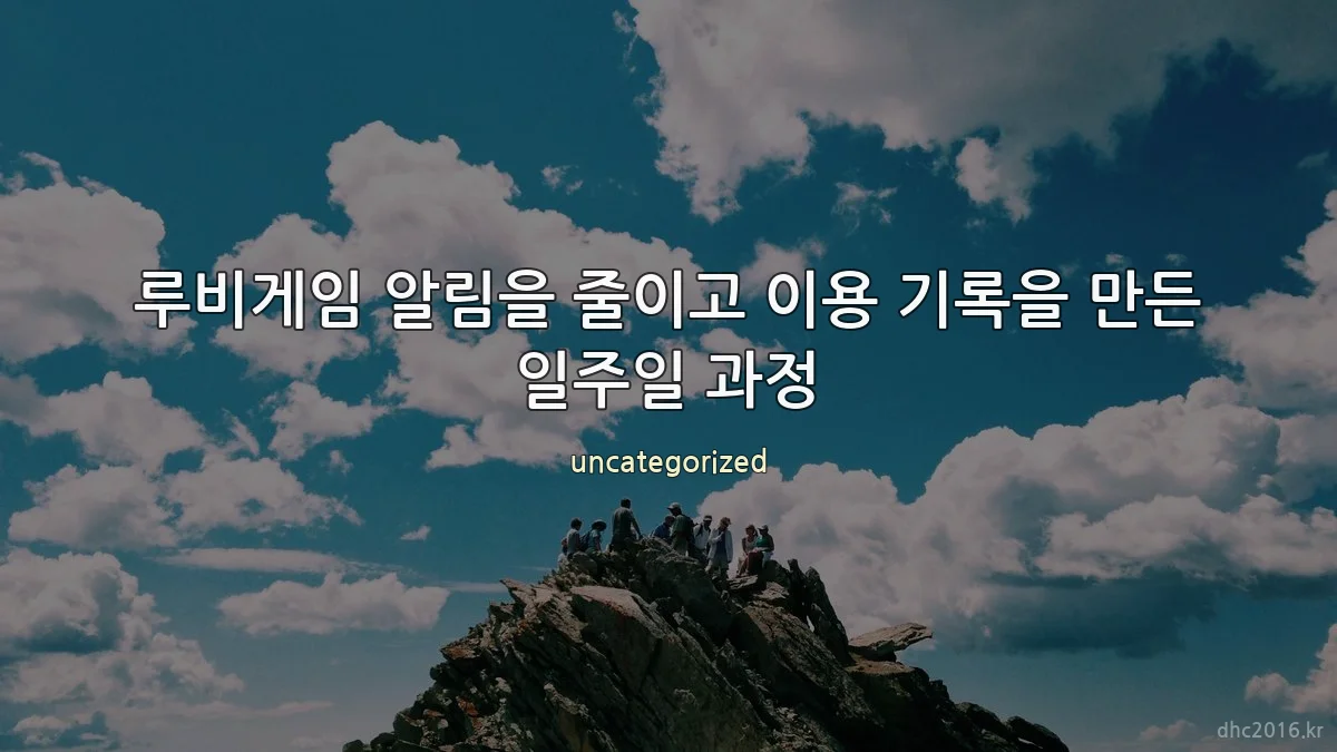 루비게임 알림을 줄이고 이용 기록을 만든 일주일 과정