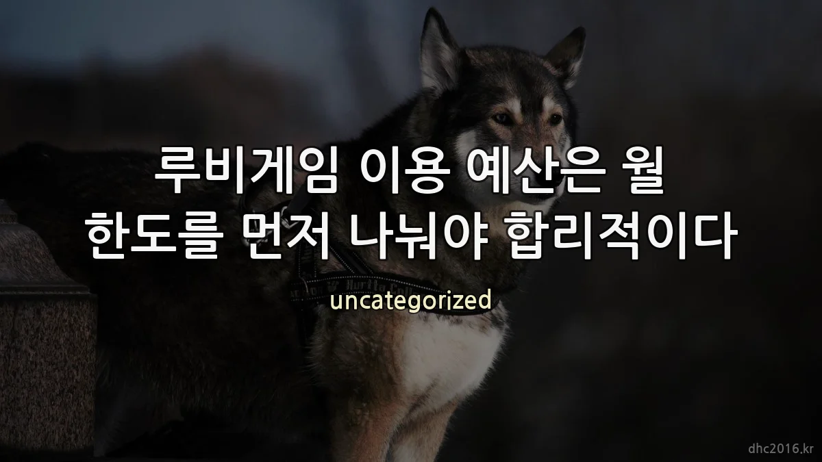 루비게임 이용 예산은 월 한도를 먼저 나눠야 합리적이다