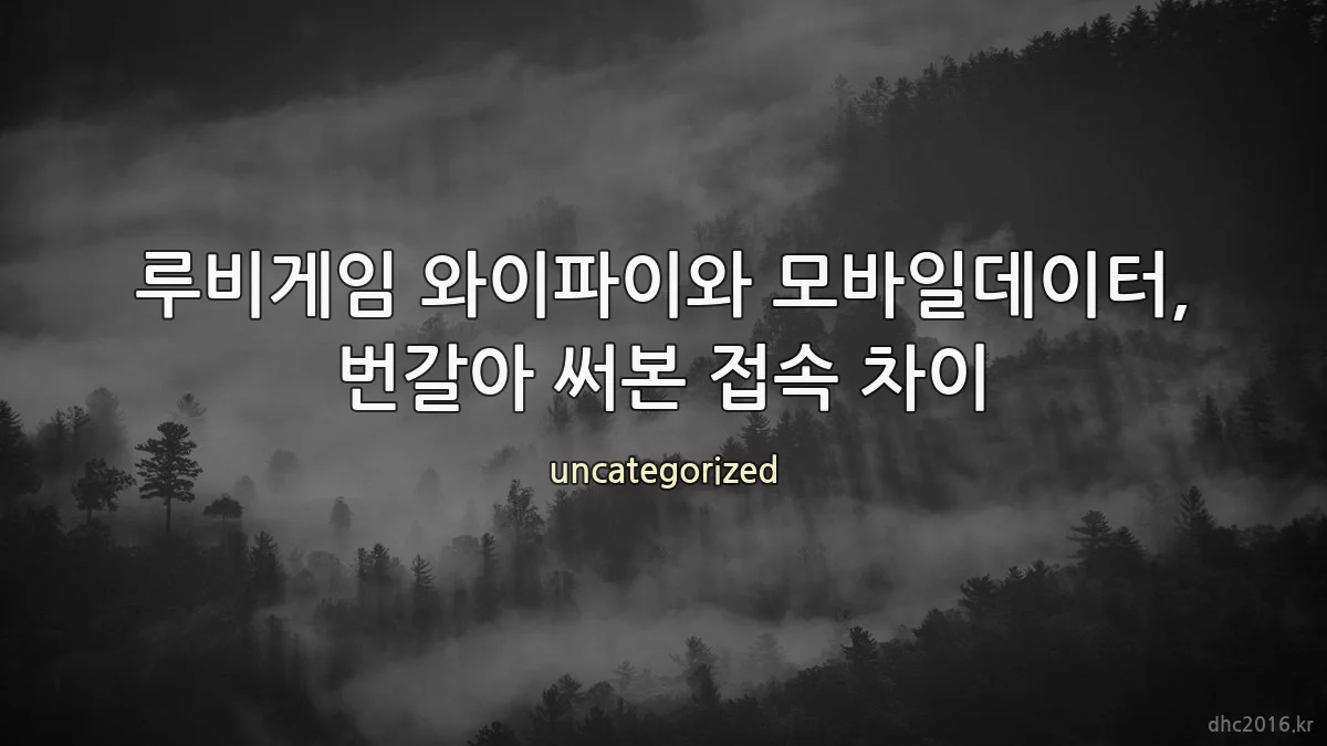 루비게임 와이파이와 모바일데이터, 번갈아 써본 접속 차이