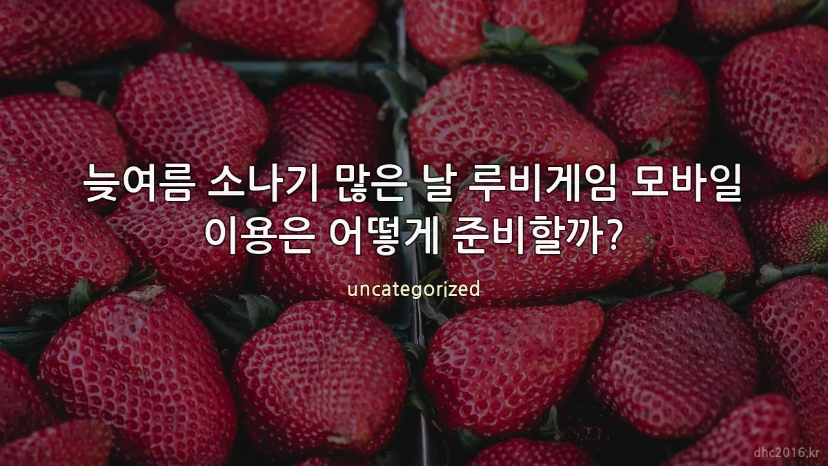 늦여름 소나기 많은 날 루비게임 모바일 이용은 어떻게 준비할까?