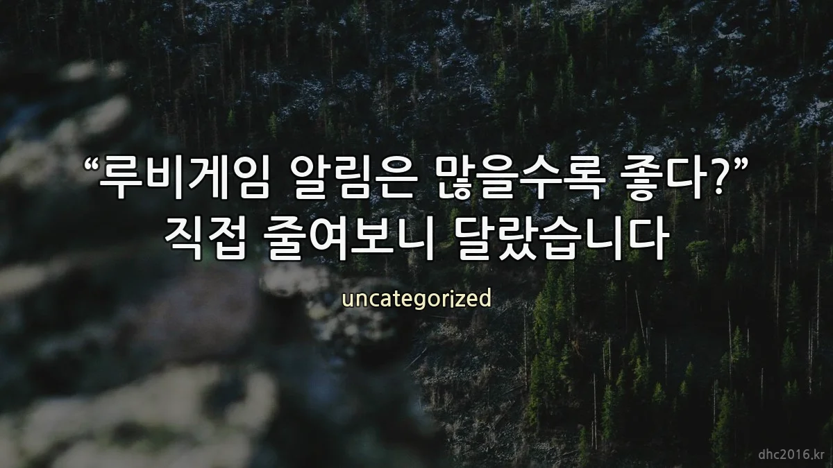 “루비게임 알림은 많을수록 좋다?” 직접 줄여보니 달랐습니다