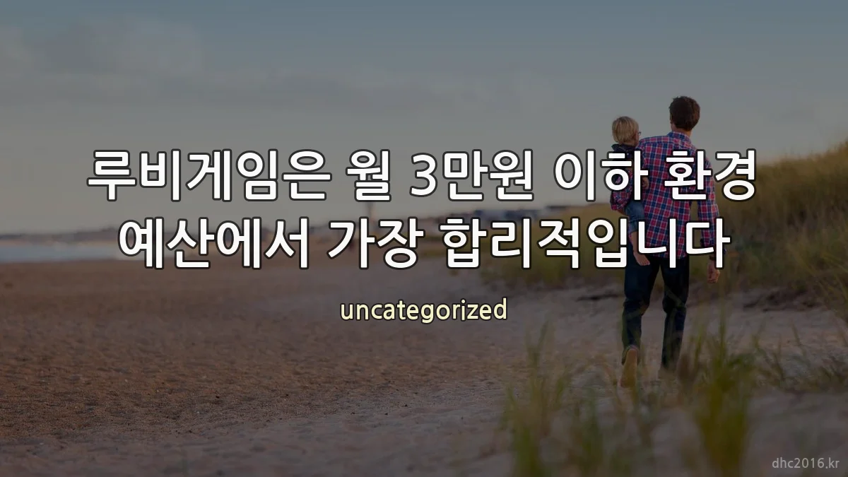 루비게임은 월 3만원 이하 환경 예산에서 가장 합리적입니다
