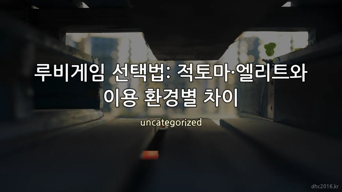 루비게임 선택법: 적토마·엘리트와 이용 환경별 차이