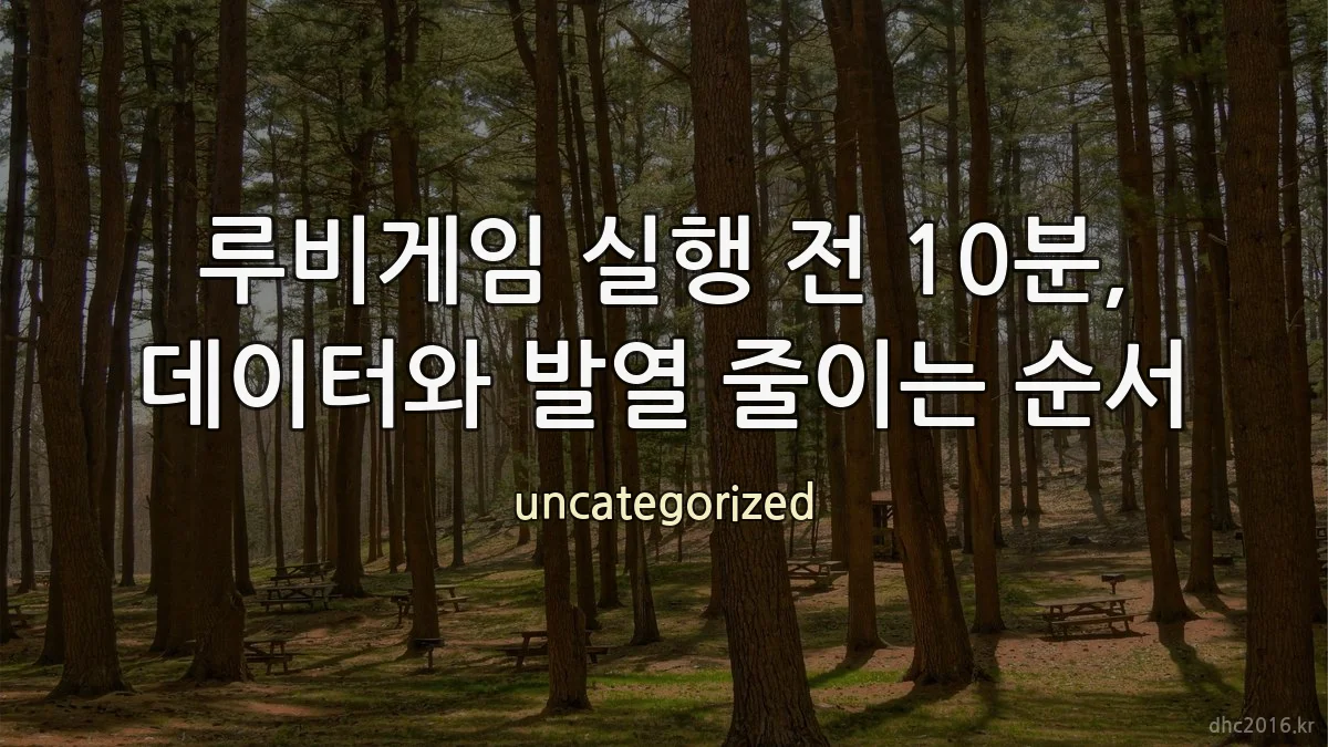 루비게임 실행 전 10분, 데이터와 발열 줄이는 순서