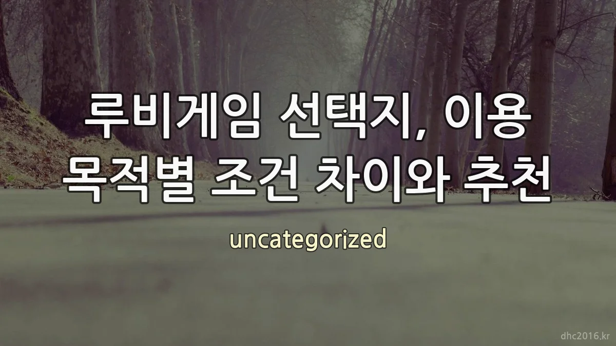 루비게임 선택지, 이용 목적별 조건 차이와 추천