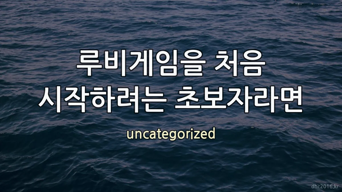 루비게임을 처음 시작하려는 초보자라면