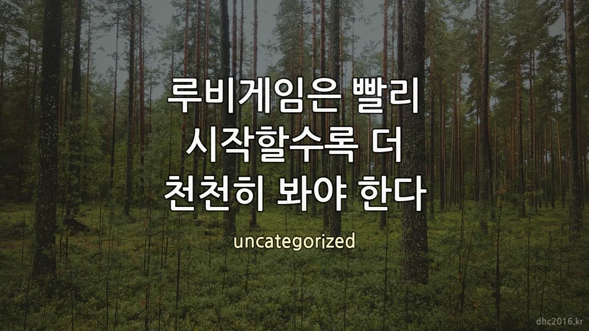 루비게임은 빨리 시작할수록 더 천천히 봐야 한다