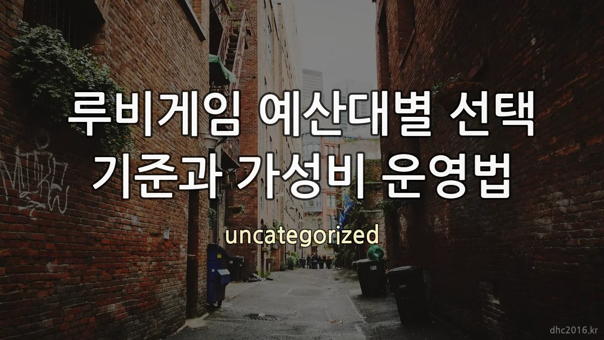 루비게임 예산대별 선택 기준과 가성비 운영법