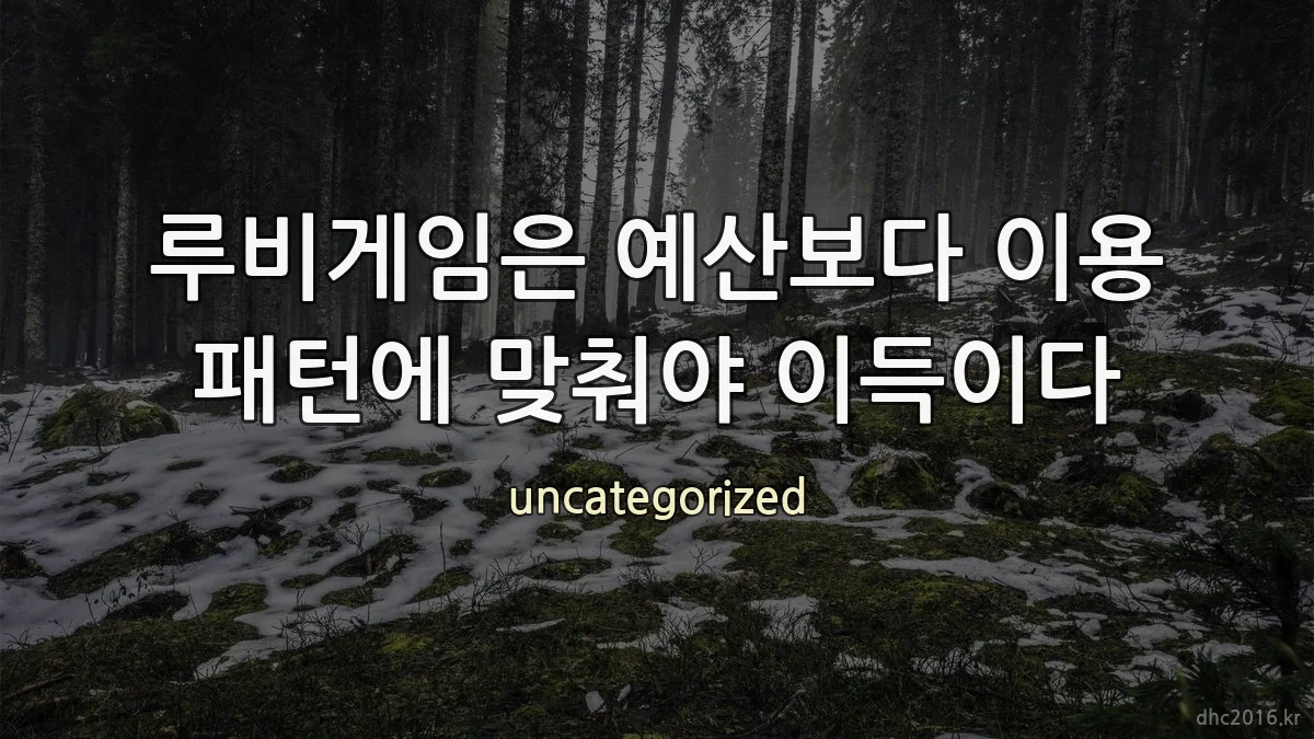루비게임은 예산보다 이용 패턴에 맞춰야 이득이다