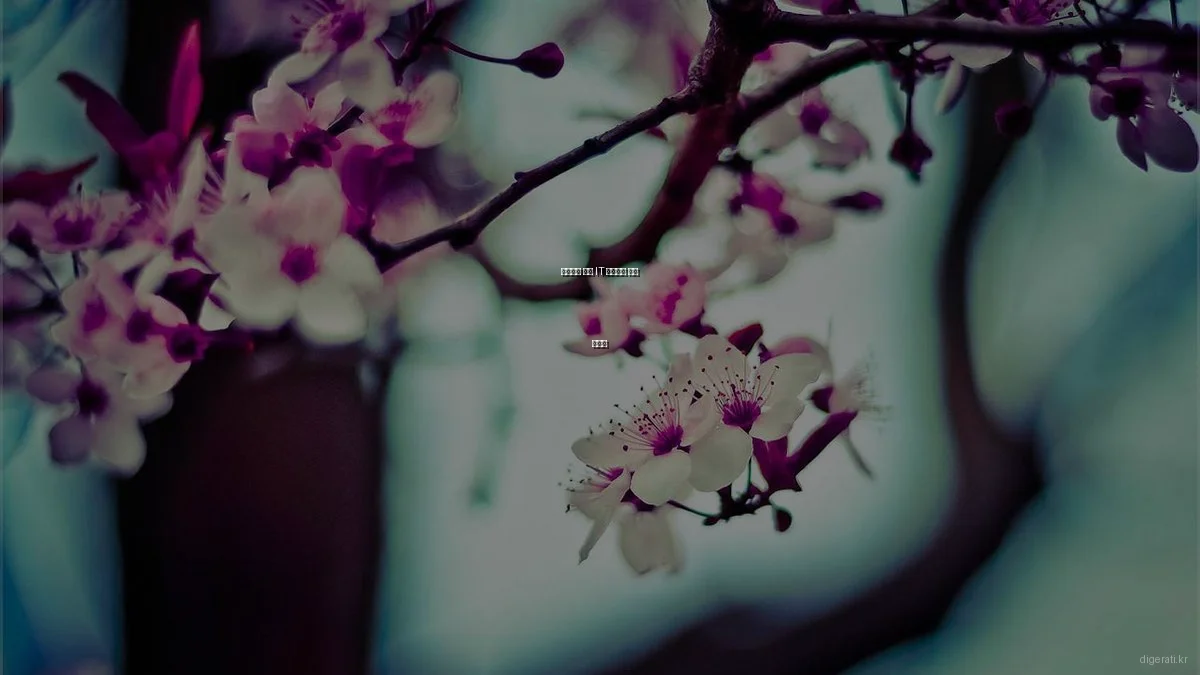 초보자를 위한 IT 스타트업 입문 가이드