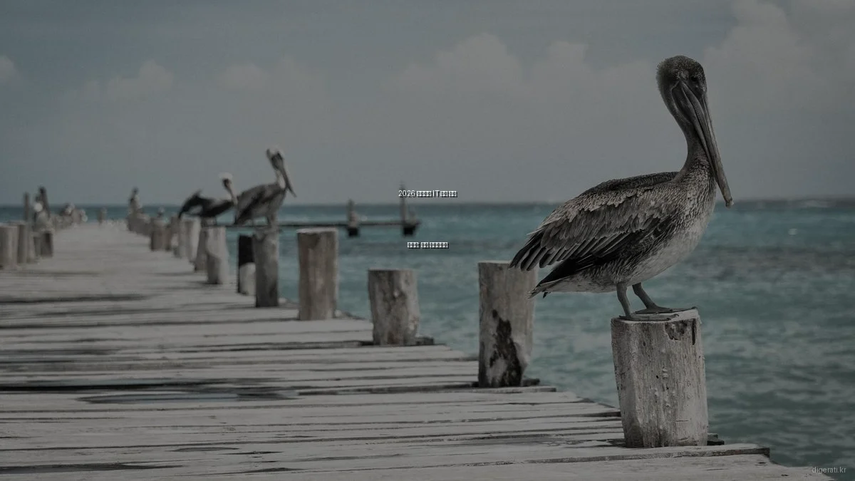 2026 스타트업 IT 도구 선택 가이드: 필수 체크리스트