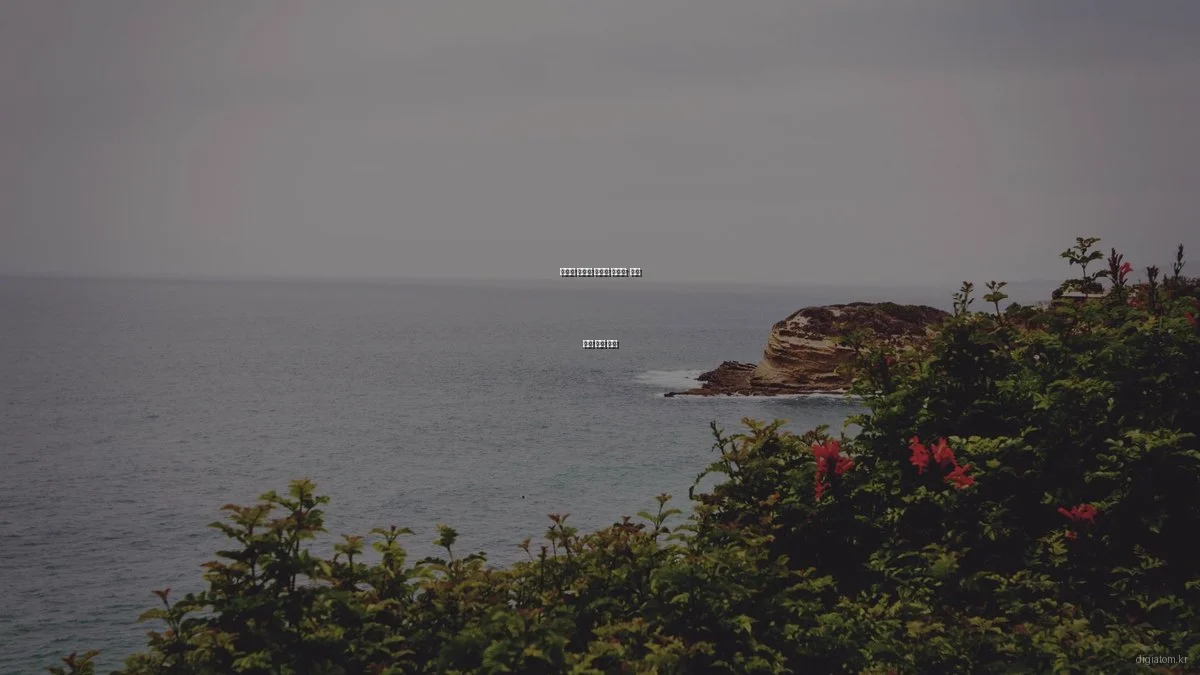 디지털 솔루션 전문가 인터뷰: 성공 비결 전격 공개