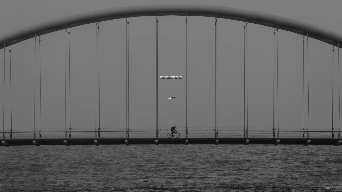 디지털 솔루션 초보 가이드: 필수 개념과 팁