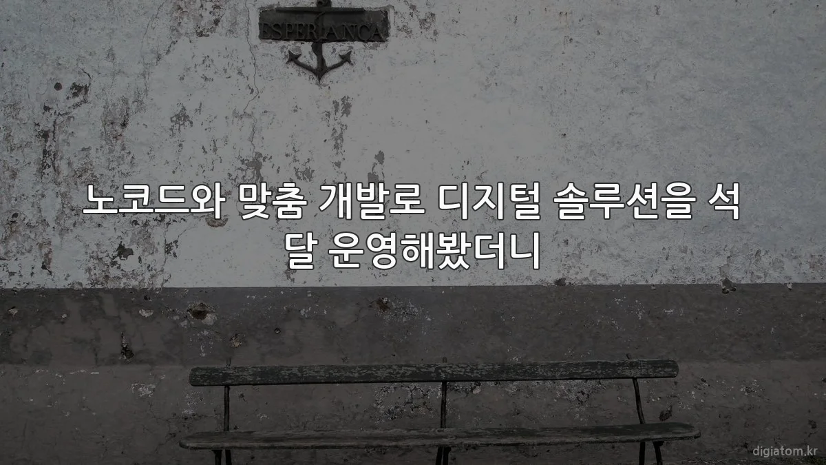 노코드와 맞춤 개발로 디지털 솔루션을 석 달 운영해봤더니