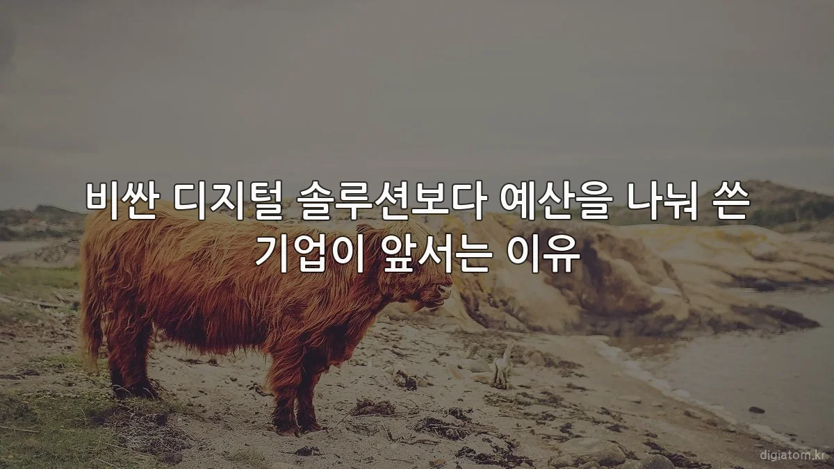 비싼 디지털 솔루션보다 예산을 나눠 쓴 기업이 앞서는 이유
