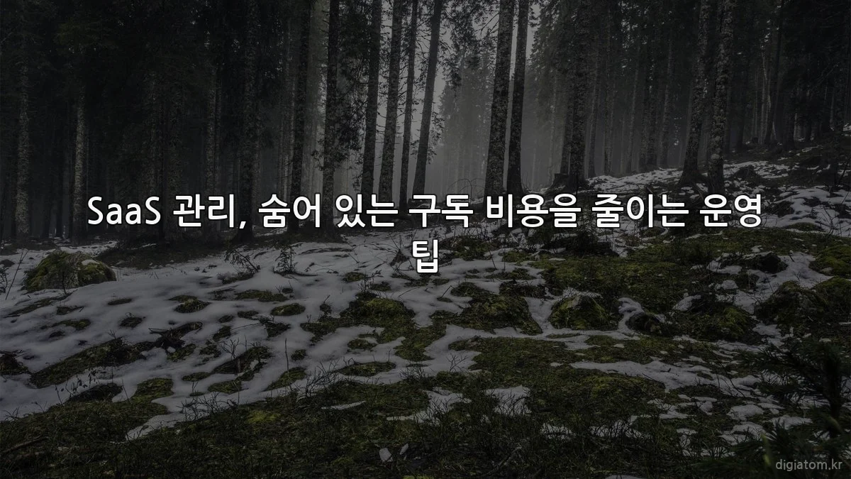 SaaS 관리, 숨어 있는 구독 비용을 줄이는 운영 팁