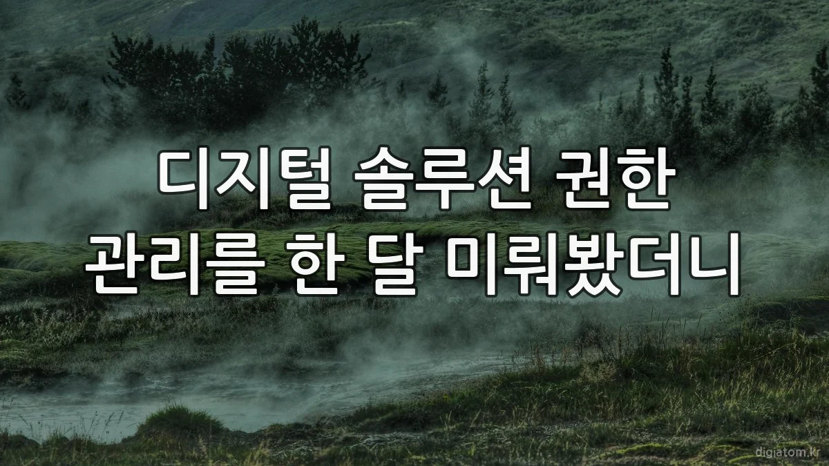 디지털 솔루션 권한 관리를 한 달 미뤄봤더니