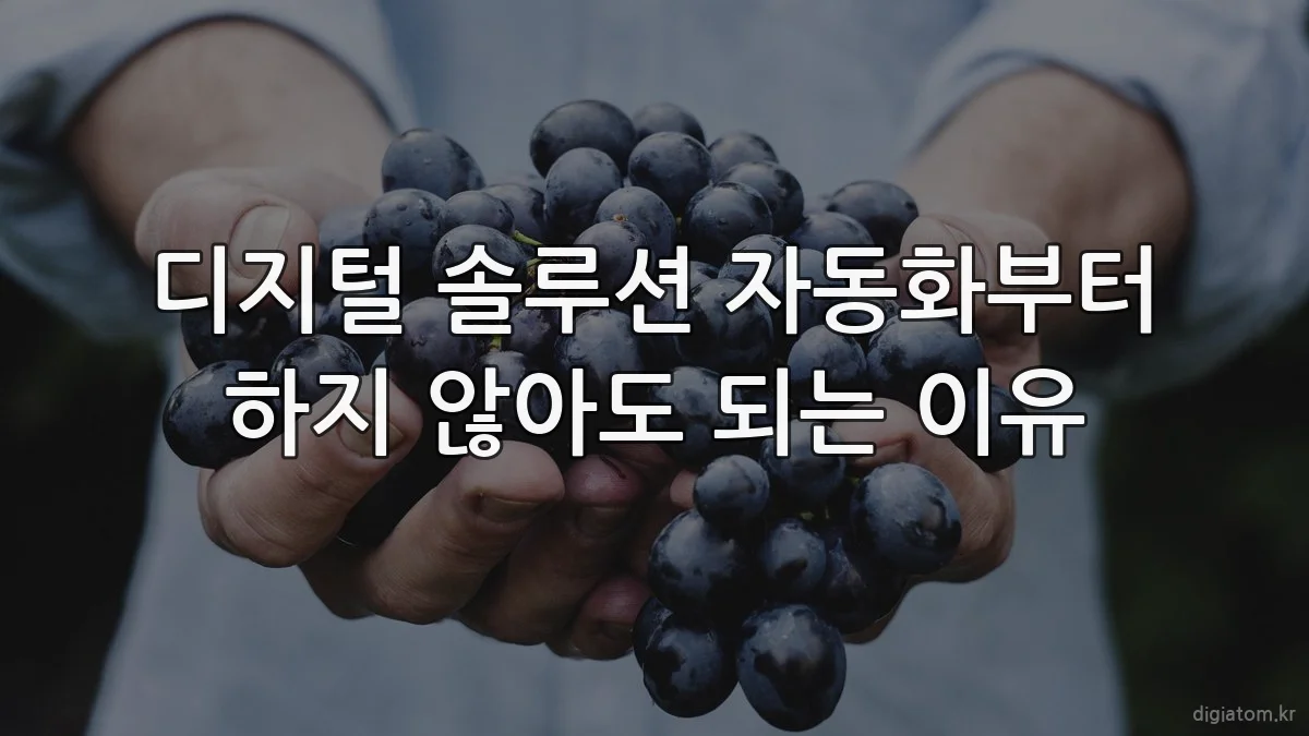 디지털 솔루션 자동화부터 하지 않아도 되는 이유