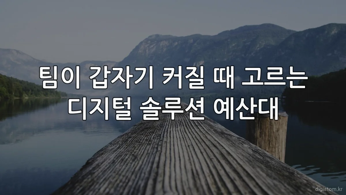 팀이 갑자기 커질 때 고르는 디지털 솔루션 예산대