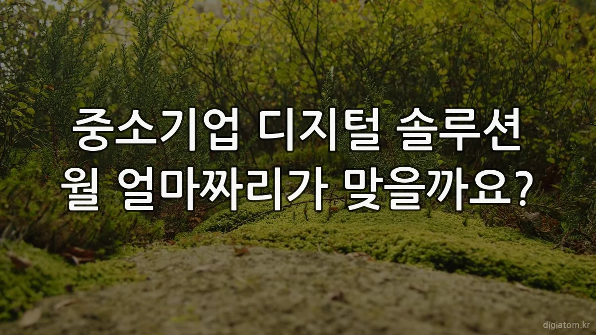 중소기업 디지털 솔루션 월 얼마짜리가 맞을까요?