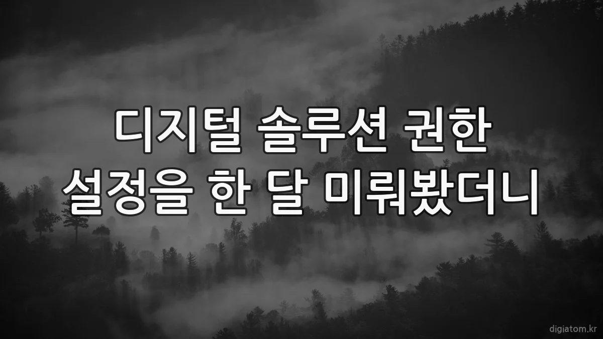 디지털 솔루션 권한 설정을 한 달 미뤄봤더니