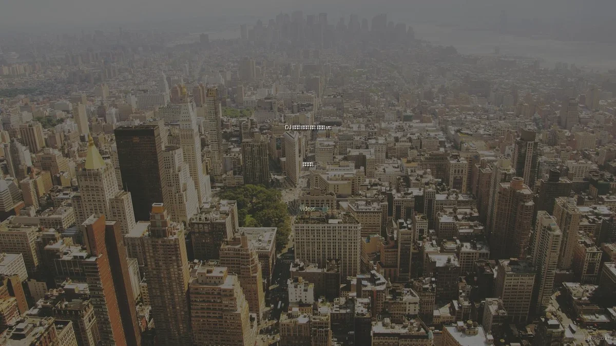 DJ 비디오 스타일 비교: 라이브 vs 스튜디오