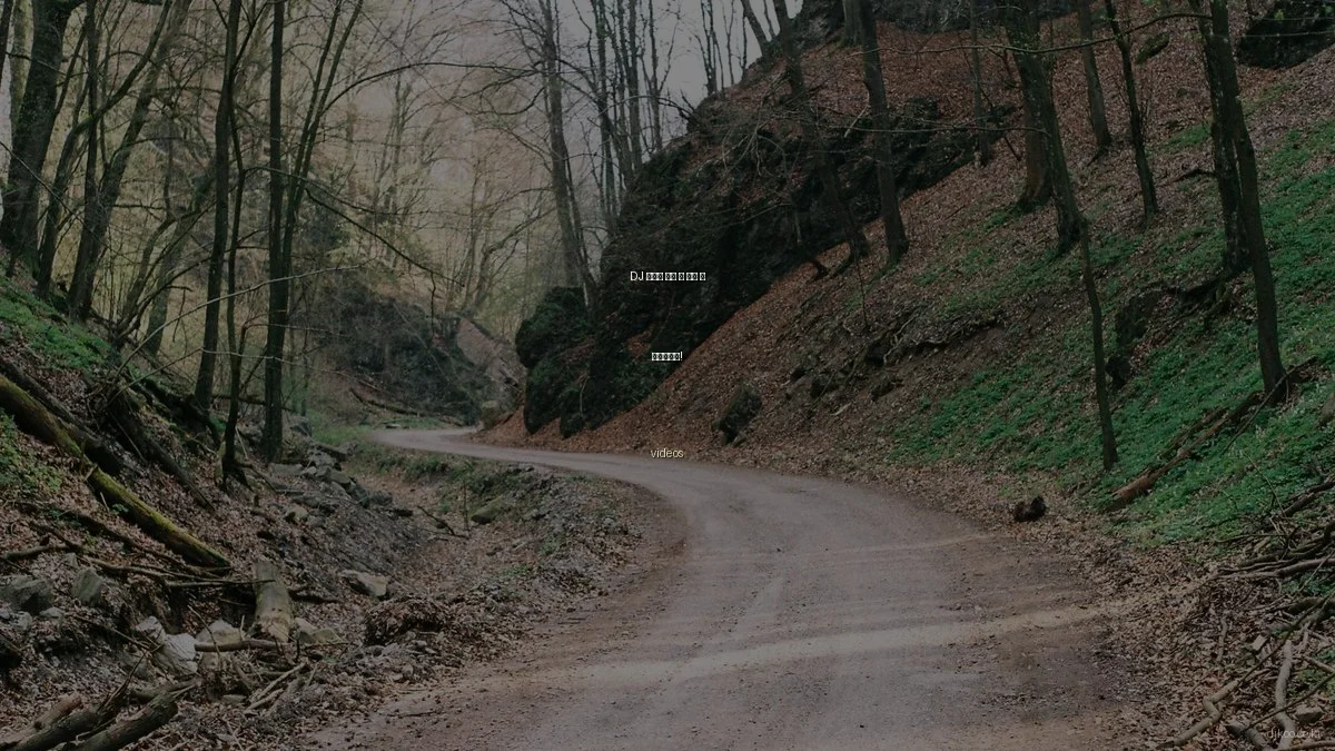 DJ 비디오 편집 중 이건 꼭 주의하세요!