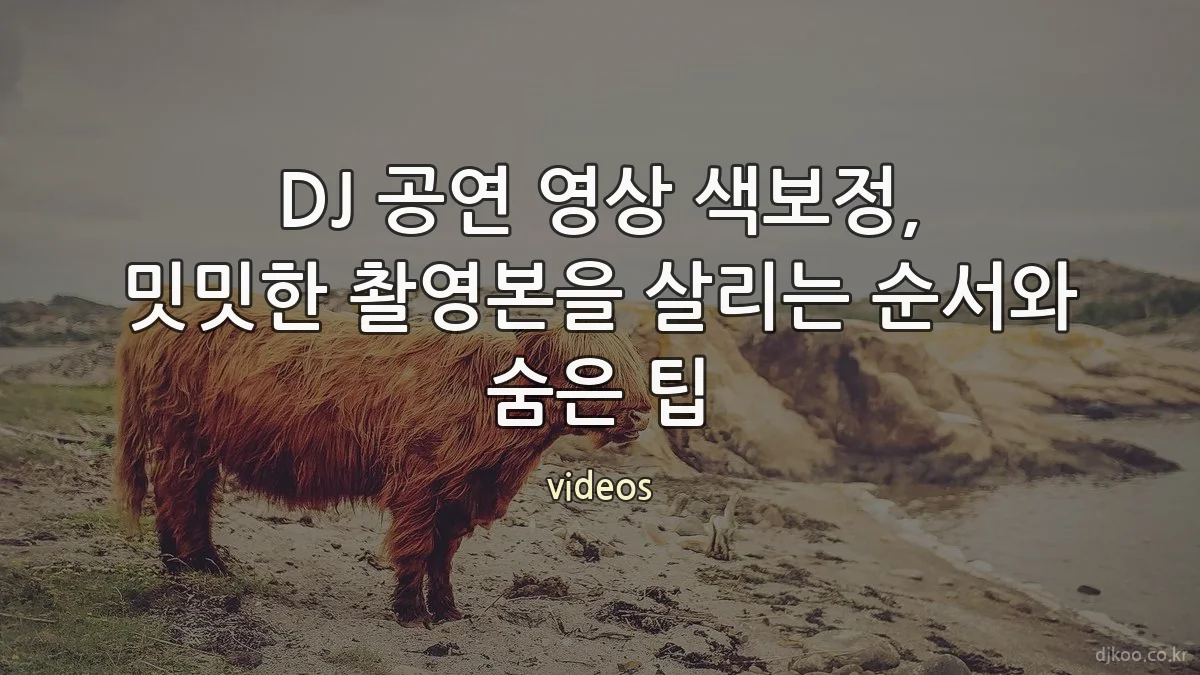DJ 공연 영상 색보정, 밋밋한 촬영본을 살리는 순서와 숨은 팁