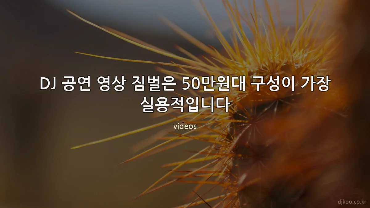 DJ 공연 영상 짐벌은 50만원대 구성이 가장 실용적입니다
