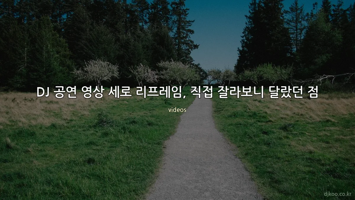 DJ 공연 영상 세로 리프레임, 직접 잘라보니 달랐던 점