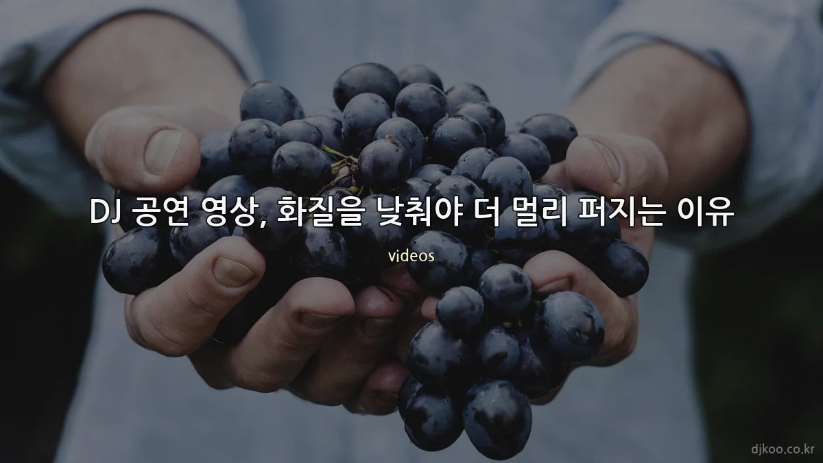 DJ 공연 영상, 화질을 낮춰야 더 멀리 퍼지는 이유