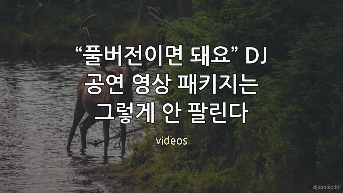 “풀버전이면 돼요” DJ 공연 영상 패키지는 그렇게 안 팔린다