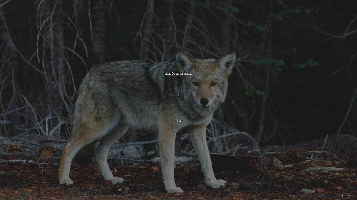 서울에서 DJ 장비 설치: 성공 비결과 팁