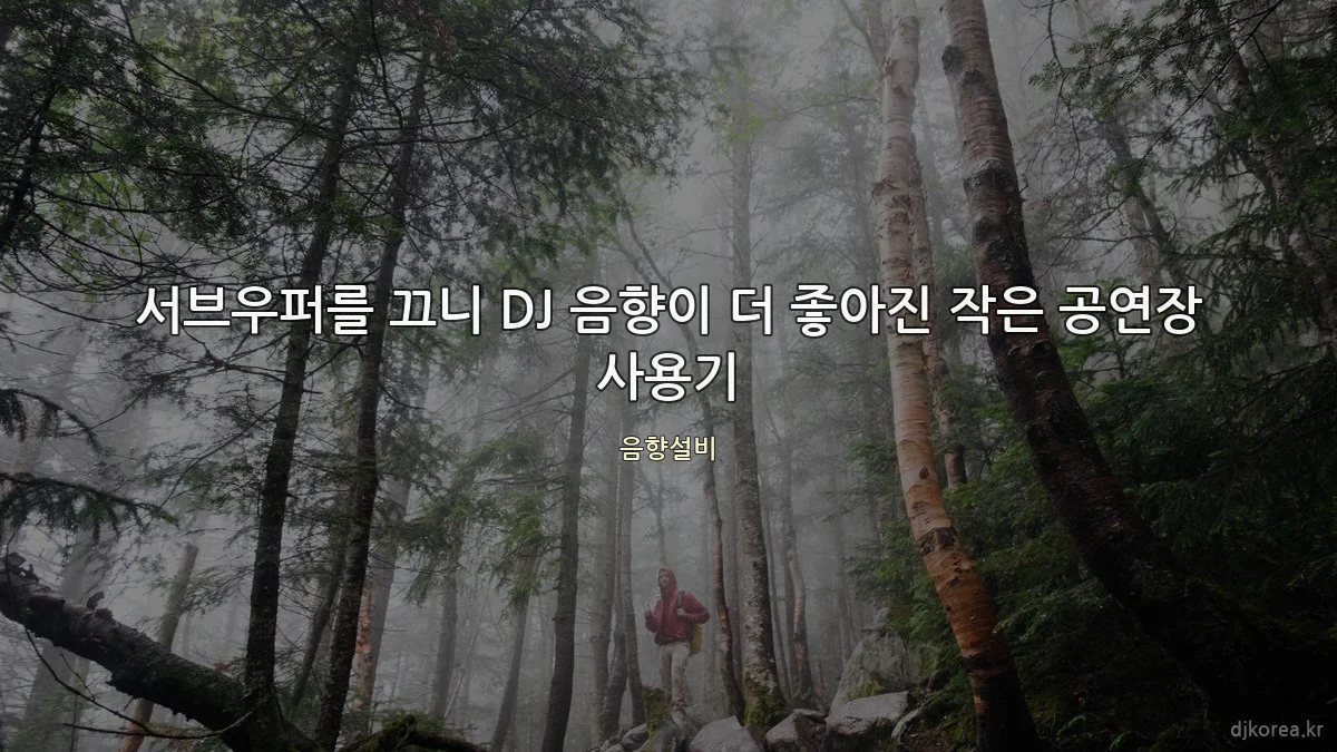 서브우퍼를 끄니 DJ 음향이 더 좋아진 작은 공연장 사용기