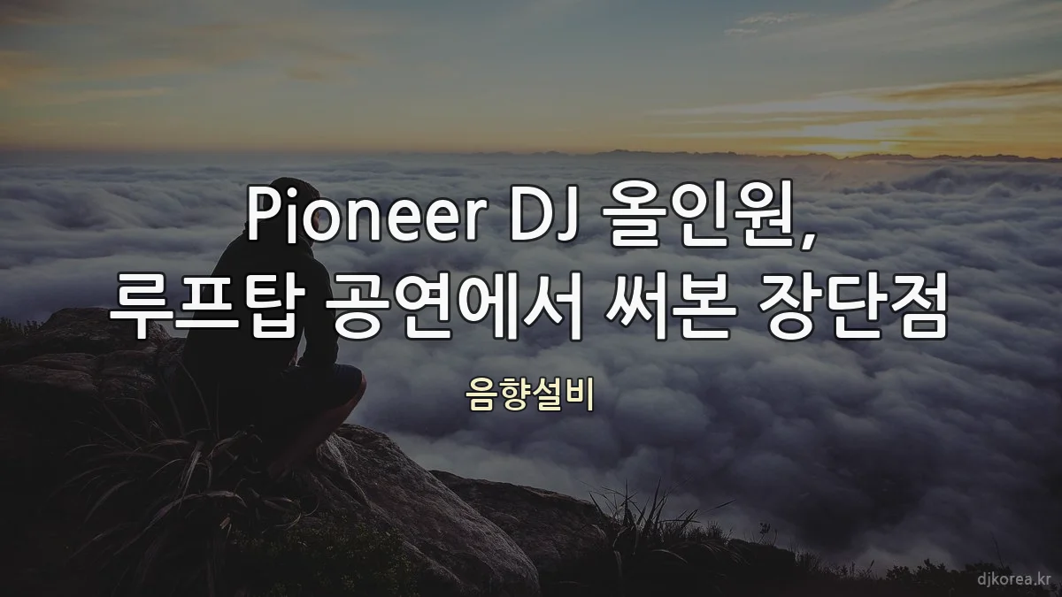 Pioneer DJ 올인원, 루프탑 공연에서 써본 장단점