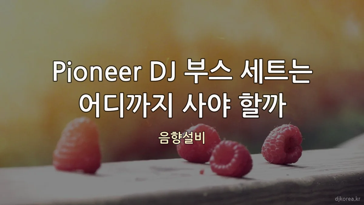 Pioneer DJ 부스 세트는 어디까지 사야 할까
