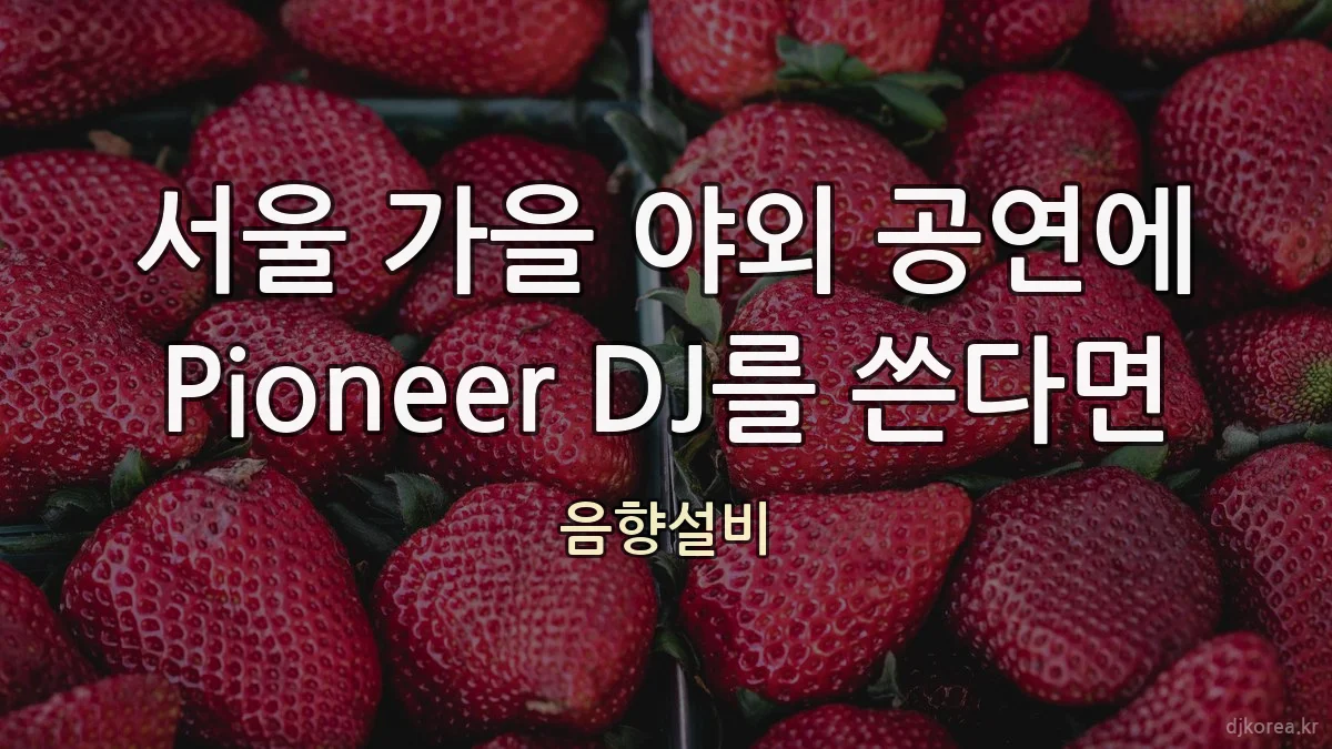 서울 가을 야외 공연에 Pioneer DJ를 쓴다면