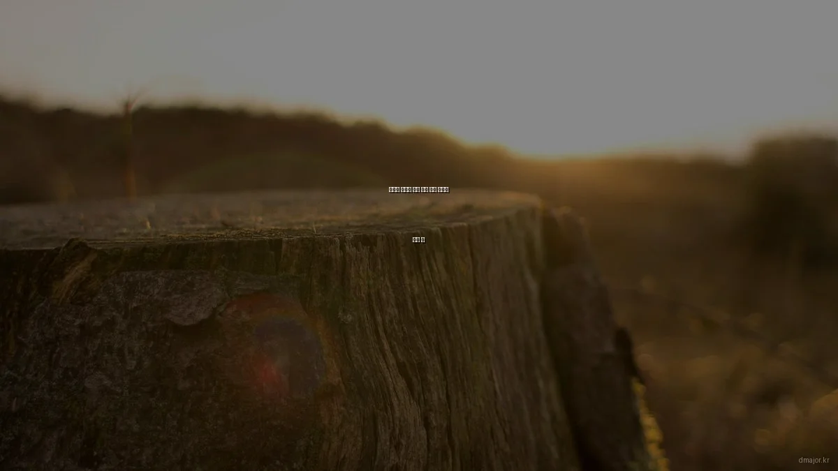 디지털 콘텐츠 제작 도구 사용 후기와 추천 팁