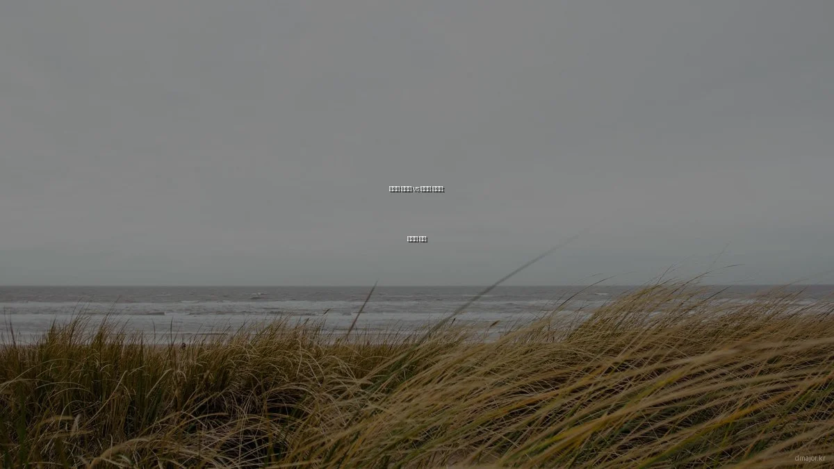 비디오 콘텐츠 vs 이미지 콘텐츠: 선택의 기준