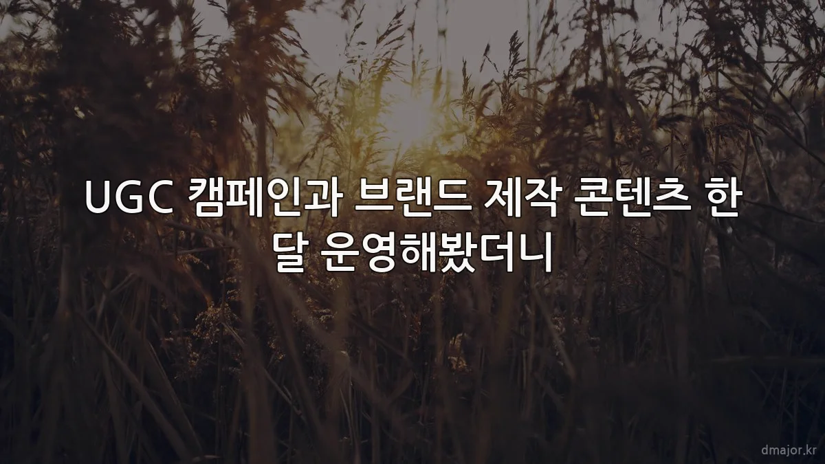 UGC 캠페인과 브랜드 제작 콘텐츠 한 달 운영해봤더니