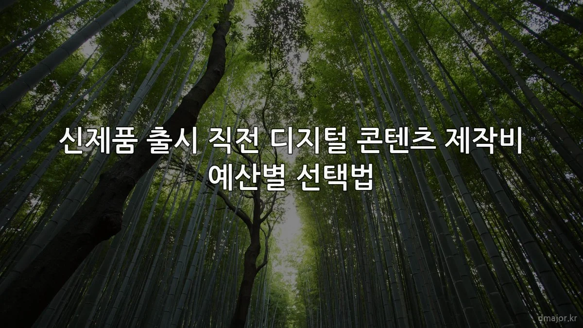 신제품 출시 직전 디지털 콘텐츠 제작비 예산별 선택법
