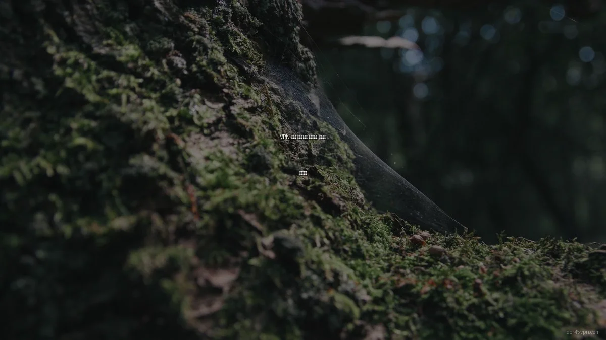 VPN 연결 문제 해결 가이드: 원인과 해결법