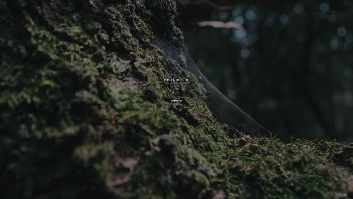 최고의 VPN 서비스 3종 비교: 상황별 선택 팁