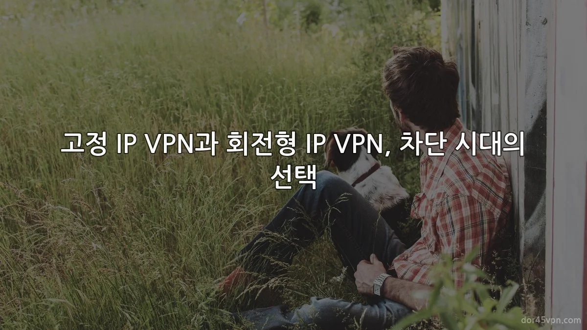 고정 IP VPN과 회전형 IP VPN, 차단 시대의 선택