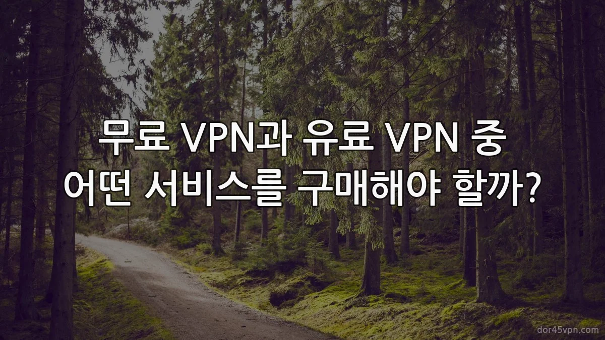 무료 VPN과 유료 VPN 중 어떤 서비스를 구매해야 할까?
