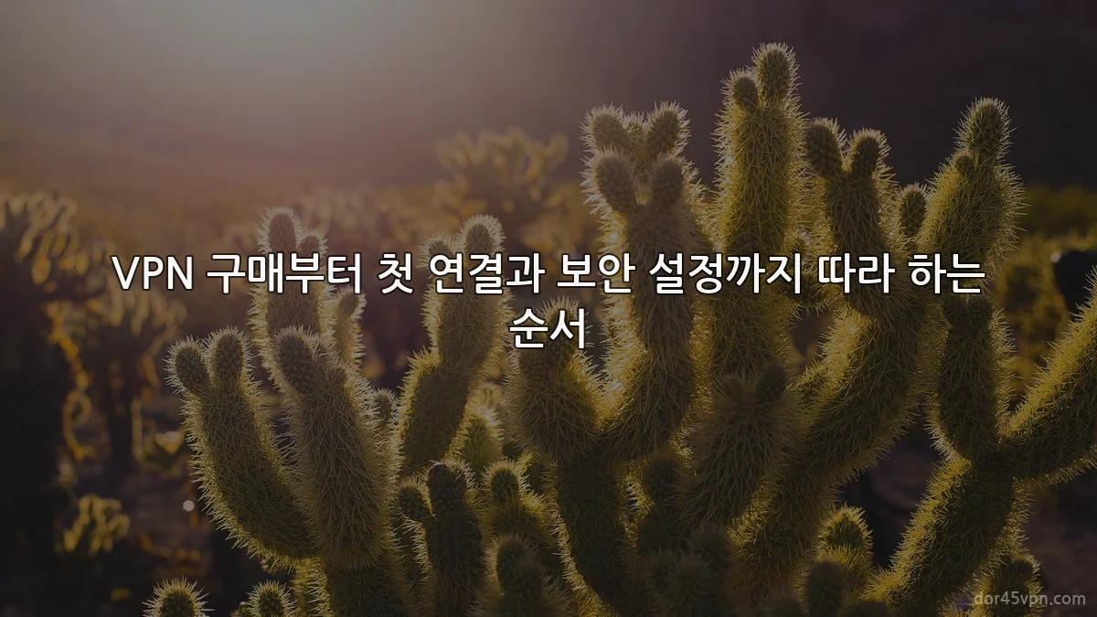 VPN 구매부터 첫 연결과 보안 설정까지 따라 하는 순서
