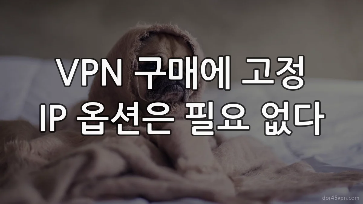 VPN 구매에 고정 IP 옵션은 필요 없다