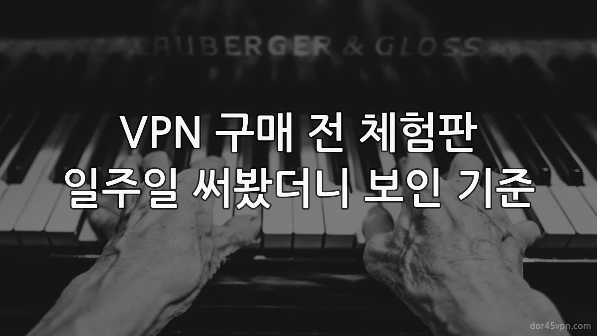 VPN 구매 전 체험판 일주일 써봤더니 보인 기준