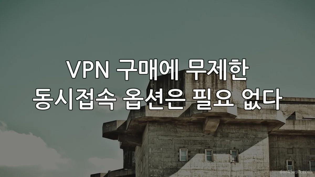VPN 구매에 무제한 동시접속 옵션은 필요 없다