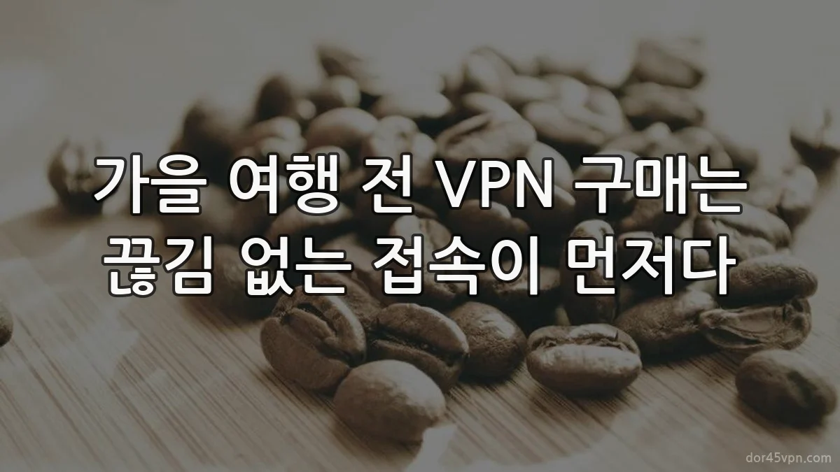 가을 여행 전 VPN 구매는 끊김 없는 접속이 먼저다